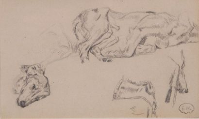 null Edouard MERITE (Neubourg 1867 - Rueil-Malmaison 1941)

Etude de bulldog 

Huile...