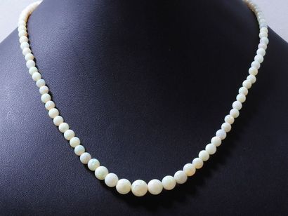 null Collier composé d'une chute de perles d'opale d'environ 3 à 8.10 mm. Il est...