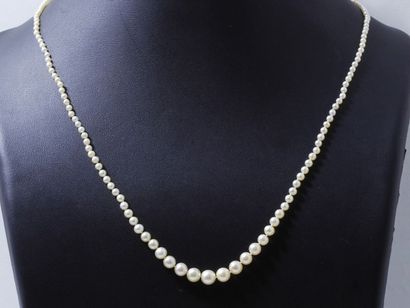 null Collier composé d'une chute de perles fines d'environ 2.3 à 6.5 mm agrémenté...