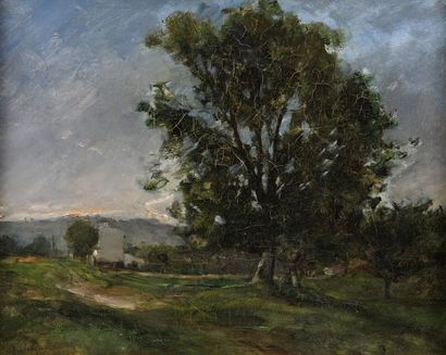 null Marie-Ferdinand JACOMIN (Paris 1843/48 - ? 1902)

Paysage aux grands arbres

Huile...