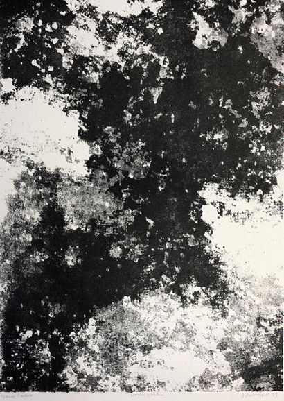 DUBUFFET (Jean). "The Shadow Tree" (1959). Lithograph in black printed on B.F.K de...