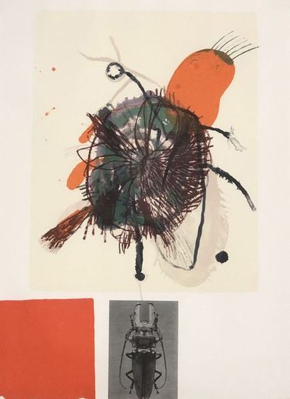 null BROWN (James). "Entomological Memories IV" (1997). Colour lithograph printed...