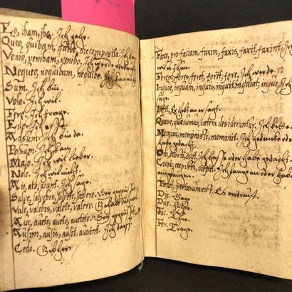 null Manuscrit en latin et en allemand du début 17e s.- « Sigismundus / von Peterswaedtt...