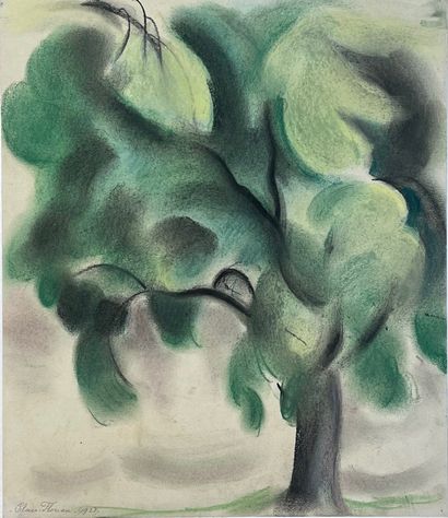 CLAES-THOBOIS (Albert). "树"（1927）。纸上粉画，右下角有日期和签名，裱在纸上。支架尺寸：46×40厘米；主题：25×21.5厘米。