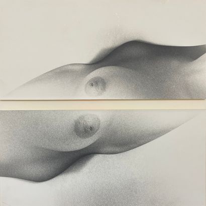 RICHEZ (Jacques). "Seins" (1979). Oeuvre constituée de deux tirages photographiques...