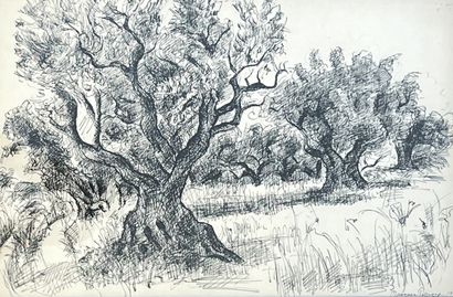 null MANZANA-PISSARO（乔治）。"树"（1952年）。纸上水墨，右下角有日期和签名，装在垫子和黑色木框中。尺寸：45.5 x 61.5厘米；主题：31...
