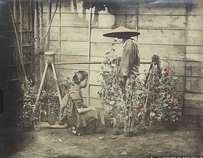 ANONYME. "苗圃植物卖家"（约1860-1880）。打印在蛋白纸上，有标题，装在白色垫子和木框中。框架尺寸：40.5 x 46厘米；主题：21 x 26...