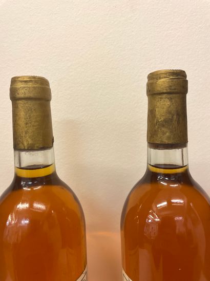 null Château Rieussec (1981). Deux bouteilles de Premier Grand Cru classé. Niveaux...