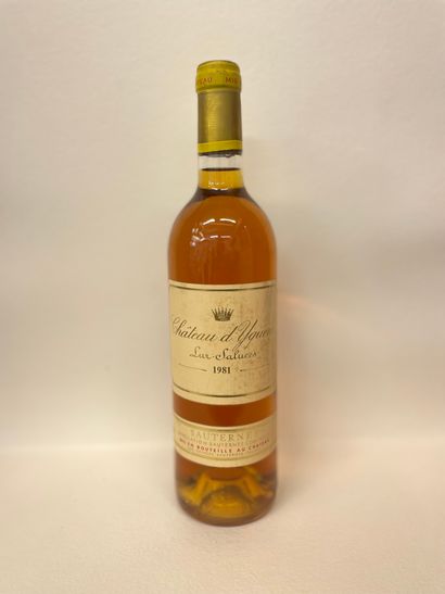 null "Château Yquem" (1981). Premier cru supérieur. Une bouteille. Niveau parfait,...