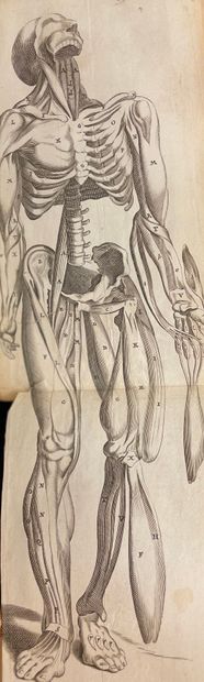 null BARTHOLIN (Thomas). Anatome ex omnium veterrm recentiorumque observationibus...
