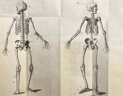 null 海斯特（洛伦兹）。Heister's Anatomy with Essays on Physics（...）。新版。巴黎，文森特，1753年，3卷12册，XXIV-551页，4张折页；IV-487页，3张折页，以及XII-412-(3)-1...