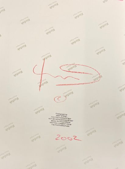 null 斯特恩（Bert）。"玛丽莲"（2002）。13/36，有日期，用黑色毡笔签名，背面用红色铅笔会签。支架尺寸：42 x 30厘米，主体尺寸：26 x ...