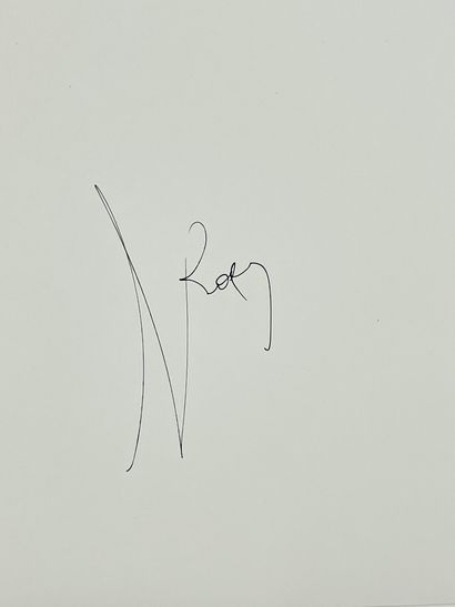 null VAN MECHELEN（科恩）。"战斗机"（2013年）。彩色胶印，只是。75/75，背面用黑色细毡笔签名。支持和主题的尺寸：71 x 50厘米。
