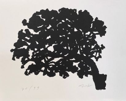null 霍尔兰（亚历山大）。"树"。黑色石板画，印在编织纸上，只是。70/99，用铅笔签名。支架和主题的尺寸：18 x 24厘米。
