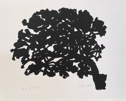 null HOLLAN (Alexander). "Arbre". Lithographie en noir tirée sur papier vélin, just....