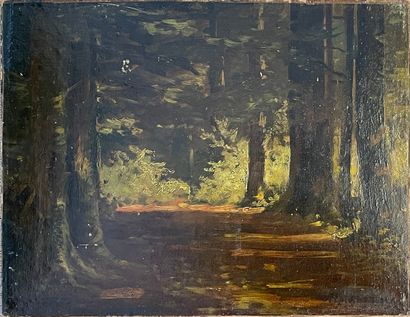 ASSELBERGS (Alphonse). "Paysage de forêt". Huile sur toile marouflée sur panneau,...
