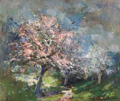 DE ROISIN (Auguste). "Cerisiers en fleurs". Huile sur toile, signée au coin infér....