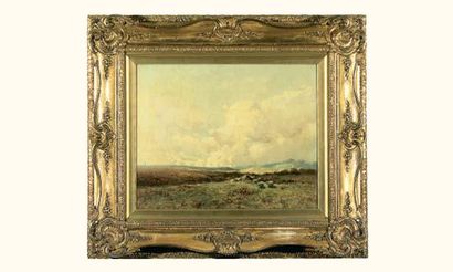 null Tom CAMPBELL, XIXe siècle
Paysage des highlands
Huile sur toile signée en bas...