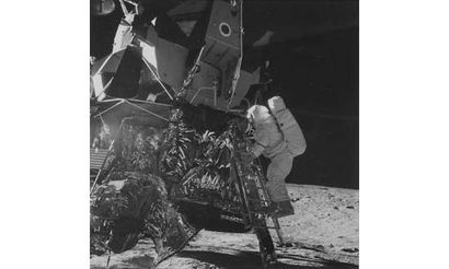 null NASA - APOLLO 11

Astronaut Edwin Aldrin downward from the lunar module, July...