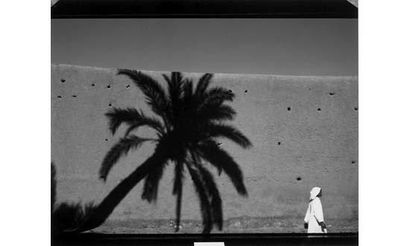 null FONTANA Franco (1933-)

Ombre de palmier, 1993.

Tirage cibachrome original...