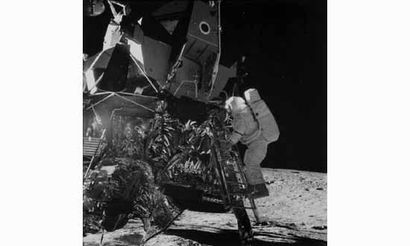 null NASA - Apollo 11
“Astronaut Edwin Aldrin downward from the lunar module, July...