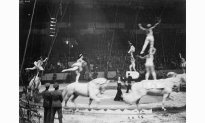 null BING Ilse (1899-1998)
Cirque, les écuyères, Madison Square Garden, Ringling...