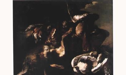 null Attribué à Candido VITALI (Bologne 1680 - 1753)

Trophée de chasse au lièvre...
