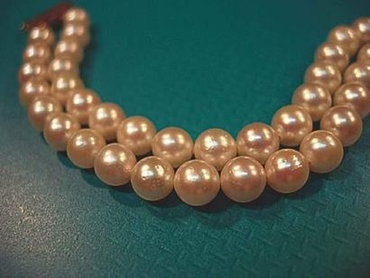 null Bracelet deux rangs de perles de culture
Diamètre 4.5 à 5 mm, fermoir et barrettes...