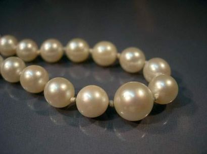 null Collier de perles de culture en chute diamètre 4 à 8 mm, fermoir en or gris.
Longueur:...