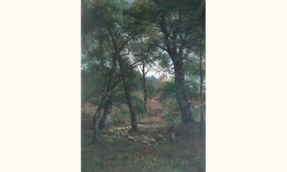 null Amédée BAUDUIT 1825-1890

"Moutons dans le sous-bois"

Huile sur toile signée...