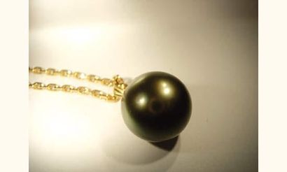 null Chaîne en or jaune maille forçat et pendentif en or serti d'une perle de culture...