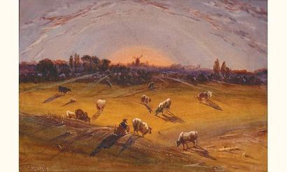 null Antoine-Désiré HEROULT 1802-1853
Vaches au paturage et moulin au soleil couchant
Aquarelle...
