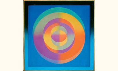null Xanti Shawinsky - 1904-1979

COMPOSITION CINÉTIQUE

Acrylique sur toile et tulle,...