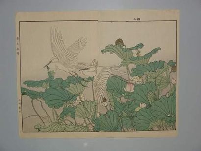 null JAPON
Estampe de Keinen, diptyque, deux hérons blancs sur des fleurs. 1891.