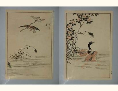 null JAPON
Deux estampes de Bunrei, série des 100 oiseaux. 1893.