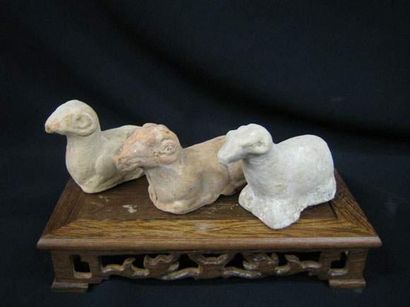null TANG (618 - 907)
Trois moutons couchés.
En terre cuite à engobe.
L : 9 cm