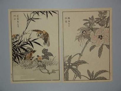 null JAPON
Deux estampes de Bunrei, de la série des 100 oiseaux. 1893.