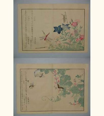 null JAPON
Deux estampes d'Utamaro, de la série des insectes.
Vers 1900.