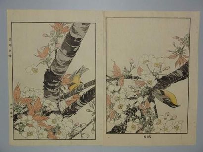 null JAPON
Estampe de Keinen, diptyque, série des quatre saisons, un couple d'oiseaux...