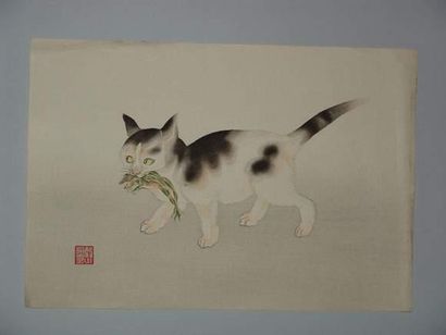 null JAPON
Estampe d'Aoyama, un chat ayant capturé une grenouille. 
Vers 1930.