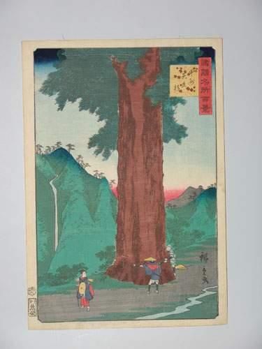 null JAPON
Estampe de Hiroshige II, série des 100 provinces, le cryptomeria géan...