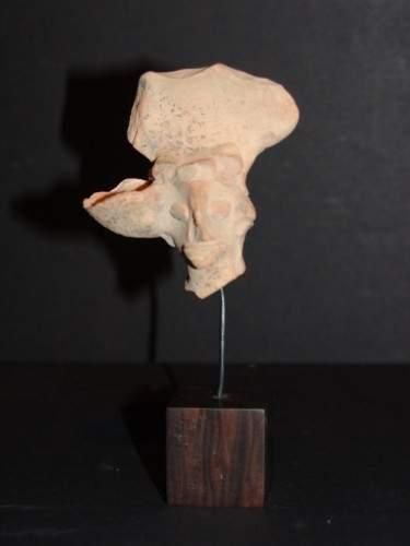 null MOHENJO-DARO (3500 - 2000 av. J.C.)
Tête d'idole féminine à la coiffure dite...