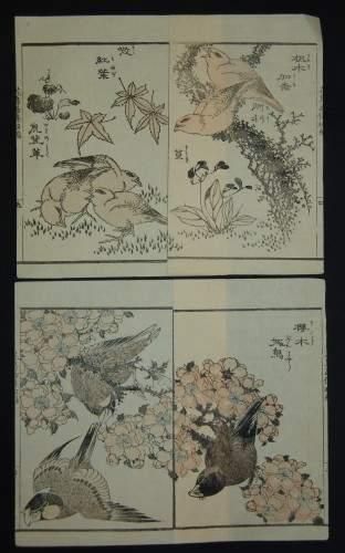 null JAPON
Deux estampes de Taito, série des 100 oiseaux.
Vers 1820.