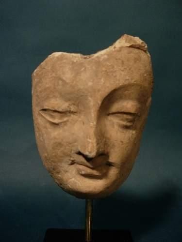 null ART GRECO-BOUDDHIQUE DU GANDHARA (Ier - Vème siècle ap. J.C.)
Visage de Bouddha...