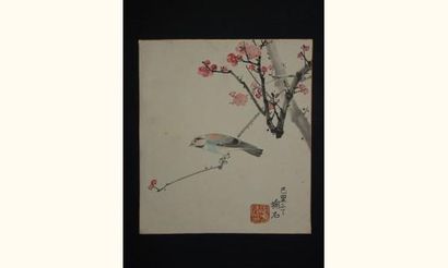 null JAPON
Gouache de l'école Shijo, un oiseau sur un arbre en fleur
Vers 1880.