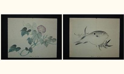 null JAPON
Deux estampes de l'école de Tokyo, non signées, Fugu et liseron
Vers ...