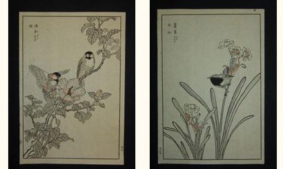 null JAPON
Deux estampes de Bunrei, série des 100 oiseaux. 1892.