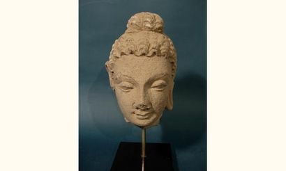 null ART GRECO-BOUDDHIQUE DU GANDHARA (Ier - Vème siècle ap. J.C.)
Tête de Bouddha...