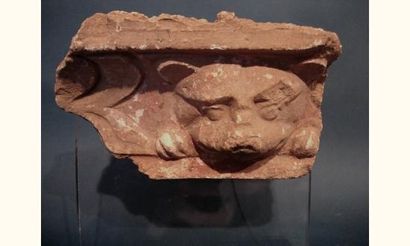 null ART GRECO-BOUDDHIQUE DU GANDHARA (Ier - Vème siècle ap. J.C.)
Tête de félin...