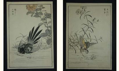 null JAPON
Estampe de Bunrei, série des 100 oiseaux, martin-pêcheur et merle. 18...